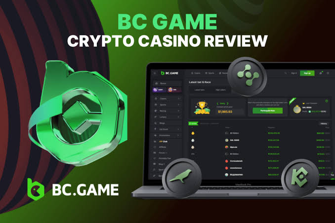 Discover Corgibet Casino Your Ultimate Gaming Destination